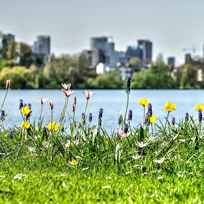 shutterstock_1081030829_NL_groen_stad_water