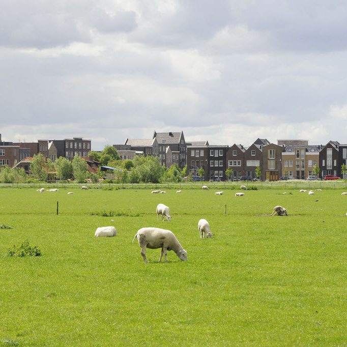 20120512_LELYSTAD_FvW_WUR2094