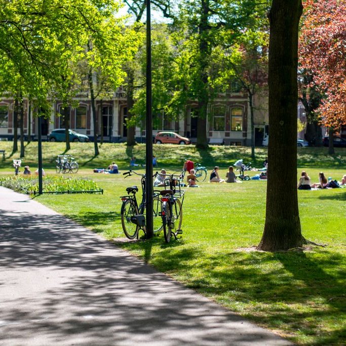 shutterstock_1716546667_NL_stadspark