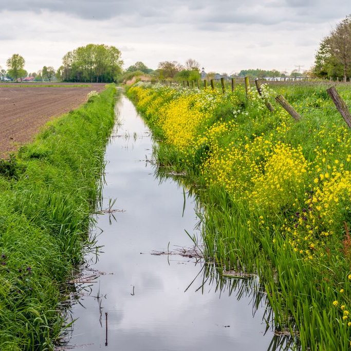 shutterstock_634527044_NL_polder_sloot