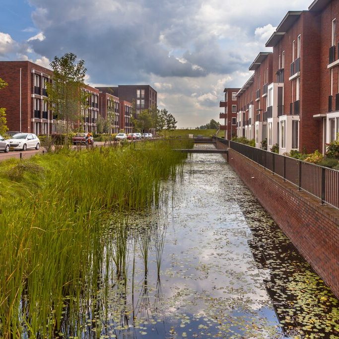 shutterstock_287030480_NL_ecologie_water_stad